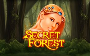 Secret Forest