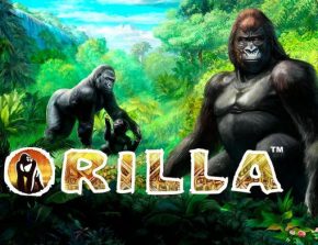 Gorilla